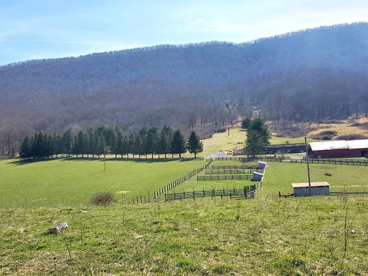 1696 Green Valley Road Peterstown, WV 24963 - Photo 9 of 132 20230301_123723
