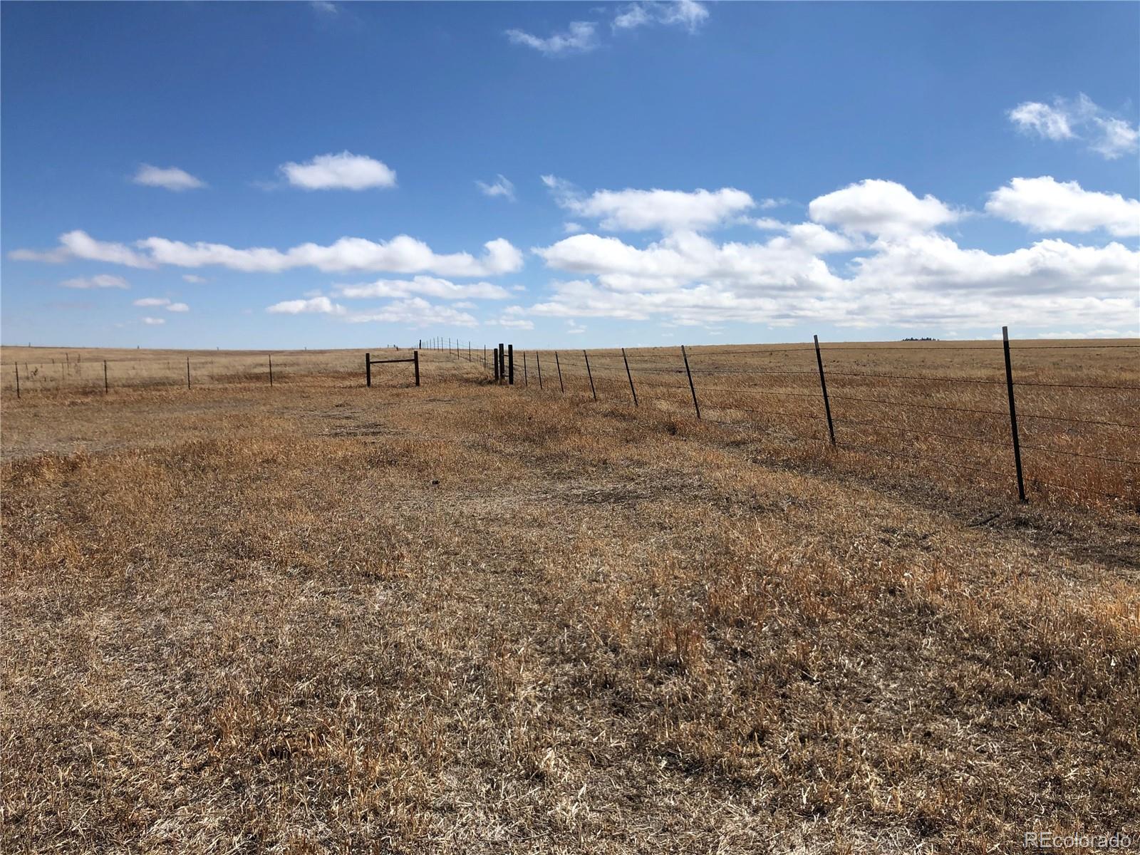 1 County Road 41 Elbert, CO 80106 - Photo 23 of 30 a view of a dry yard