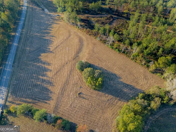 a view of a garden with plants