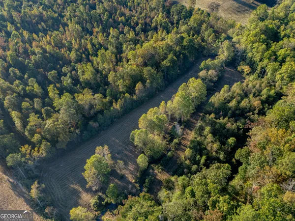 a view of a tree with a yard