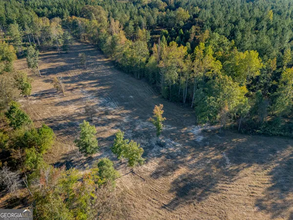 a view of a yard with plants and trees