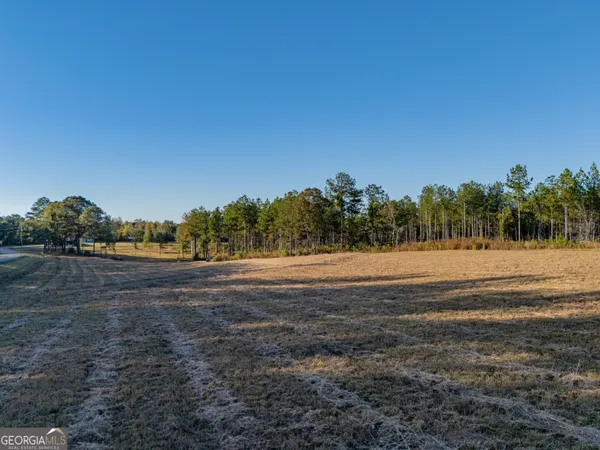 a view of a yard