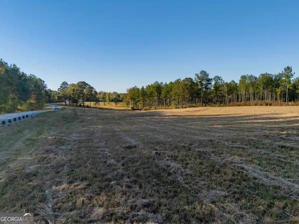 a view of a field with trees in the background