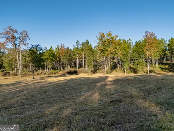 a view of road with trees