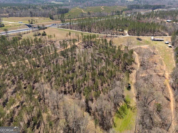 a view of a dry yard