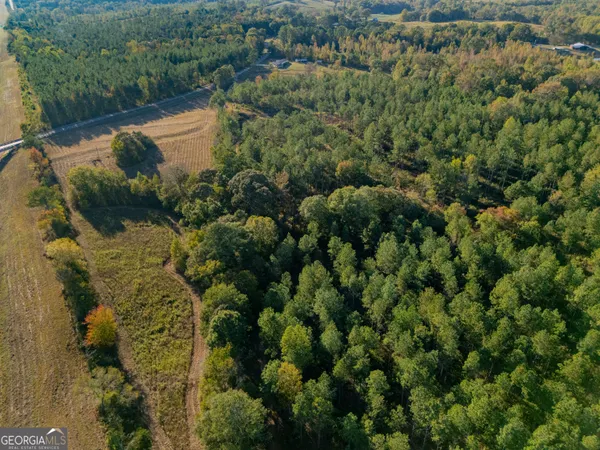 a view of a lake with a forest