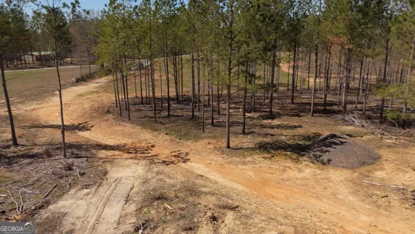 a view of water pond with green space