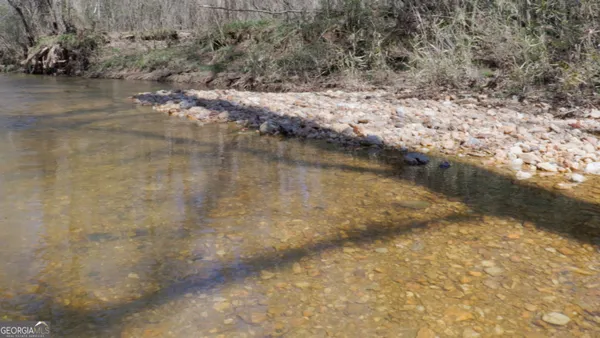 a view of a yard with large trees