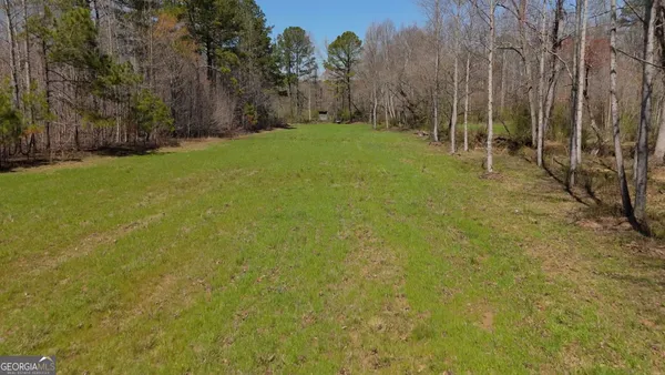 a view of snow covered with trees