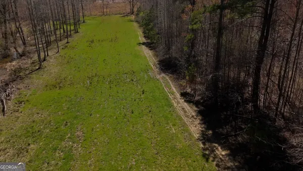 $550,000 | 14381 County Road 66, Heflin, AL 36264