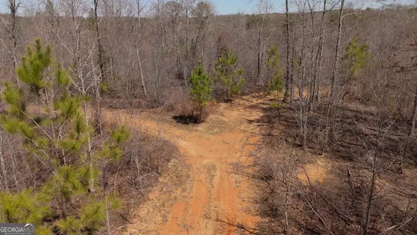 $550,000 | 14381 County Road 66, Heflin, AL 36264