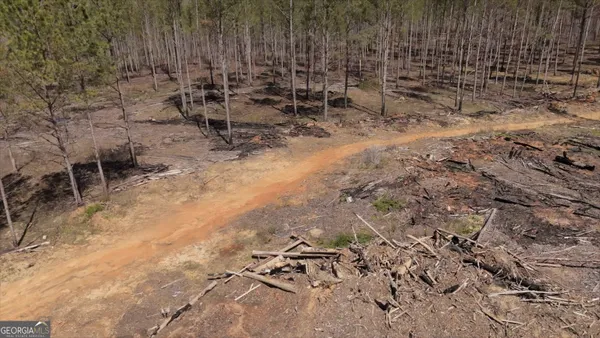 $550,000 | 14381 County Road 66, Heflin, AL 36264