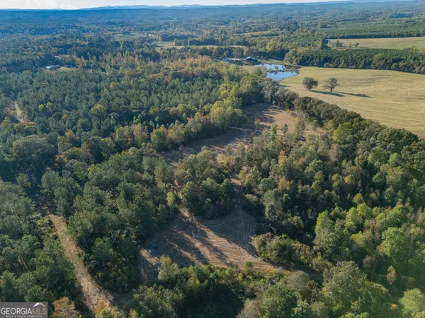 an aerial view of forest