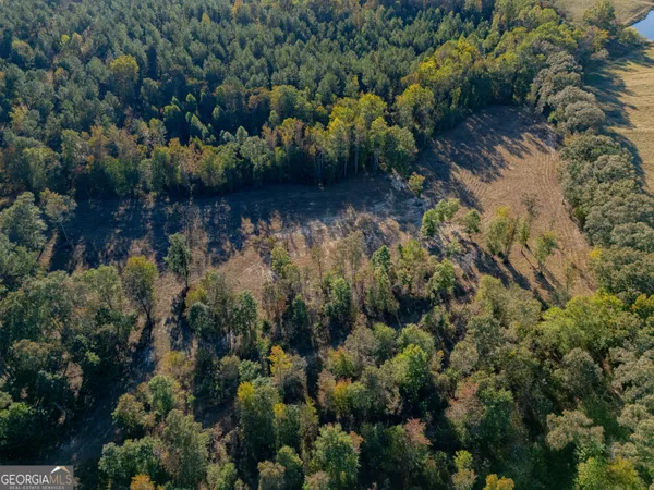 an aerial view of a house with a yard and lake view