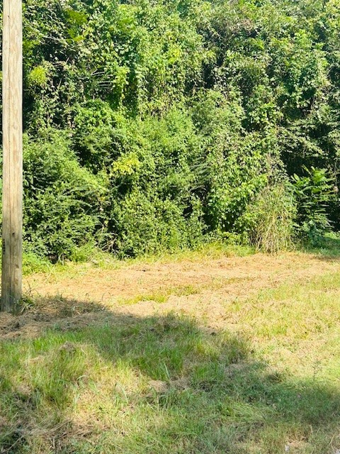 Tbd Robin Lane Shepherd, TX 77371 - Photo 2 of 6 a view of an outdoor space and a yard
