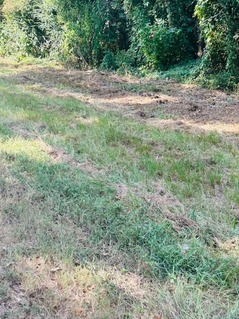 Tbd Robin Lane Shepherd, TX 77371 - Photo 3 of 6 a view of dirt yard with a tree