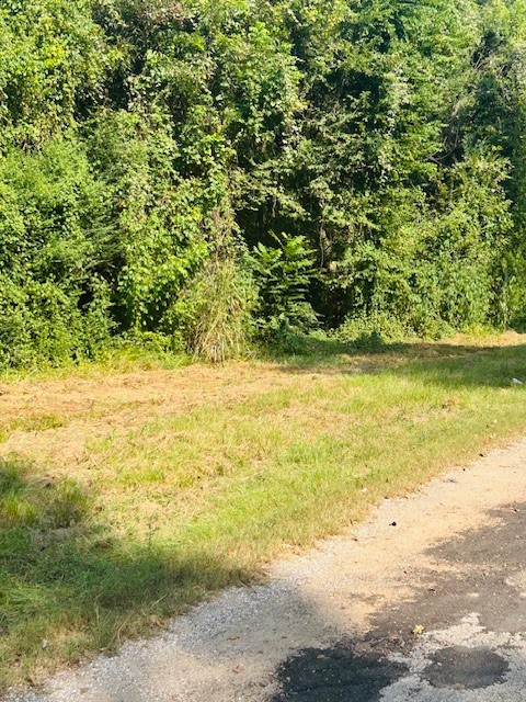 Tbd Robin Lane Shepherd, TX 77371 - Photo 6 of 6 a view of beach and ocean