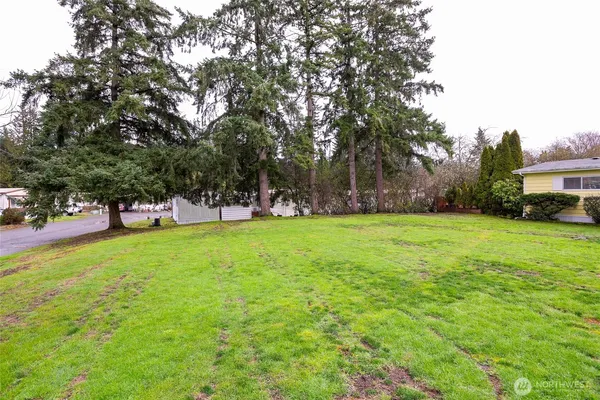 a view of a park with large trees