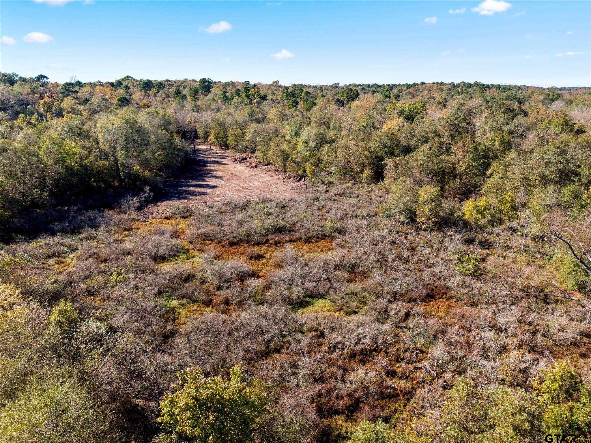 Tbd Woodchuck Road Leesburg, TX 75451 - Photo 20 of 34 Gallery Image 20