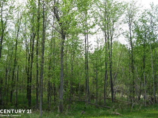 6038 Bordman Road Romeo, MI 48065 - Photo 31 of 32
