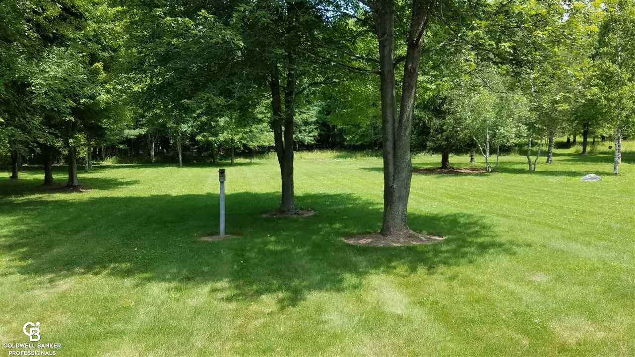 9475 Brandon Road Avoca, MI 48006 - Photo 38 of 44 This is another view of the front yard.