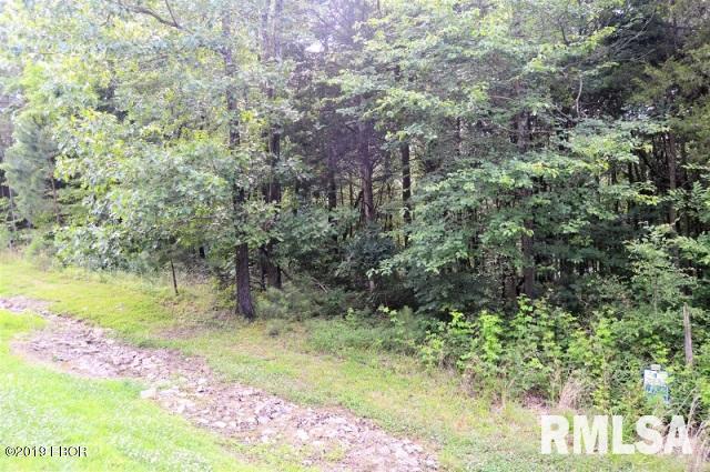 Lot 186 Parrish Ridge Lane Goreville, IL 62939 - Photo 1 of 7 Gallery Image 1