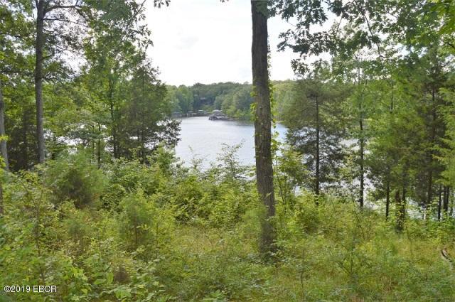 Lot 186 Parrish Ridge Lane Goreville, IL 62939 - Photo 2 of 7 Gallery Image 2