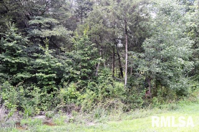 Lot 186 Parrish Ridge Lane Goreville, IL 62939 - Photo 3 of 7 Gallery Image 3
