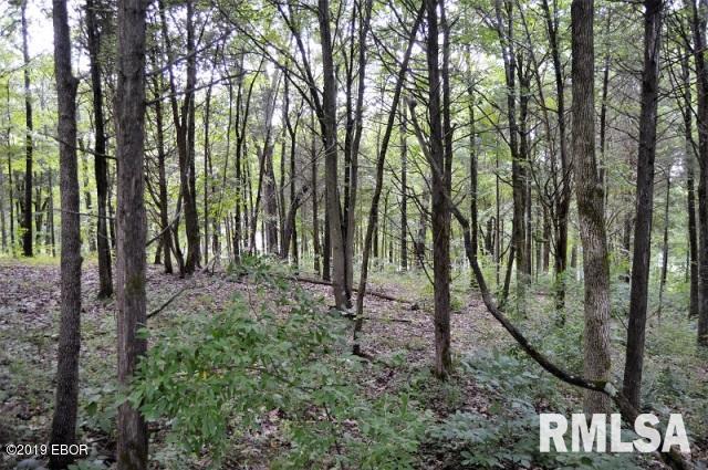 Lot 186 Parrish Ridge Lane Goreville, IL 62939 - Photo 4 of 7 Gallery Image 4