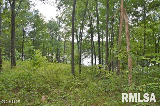 Lot 186 Parrish Ridge Lane Goreville, IL 62939 - Photo 6 of 7 Gallery Image 6