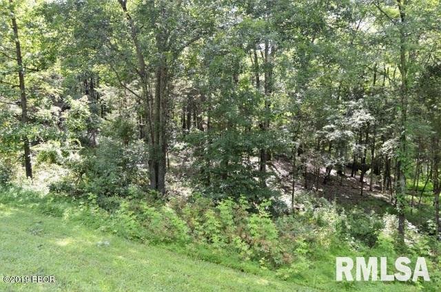 Lot 186 Parrish Ridge Lane Goreville, IL 62939 - Photo 7 of 7 Gallery Image 7