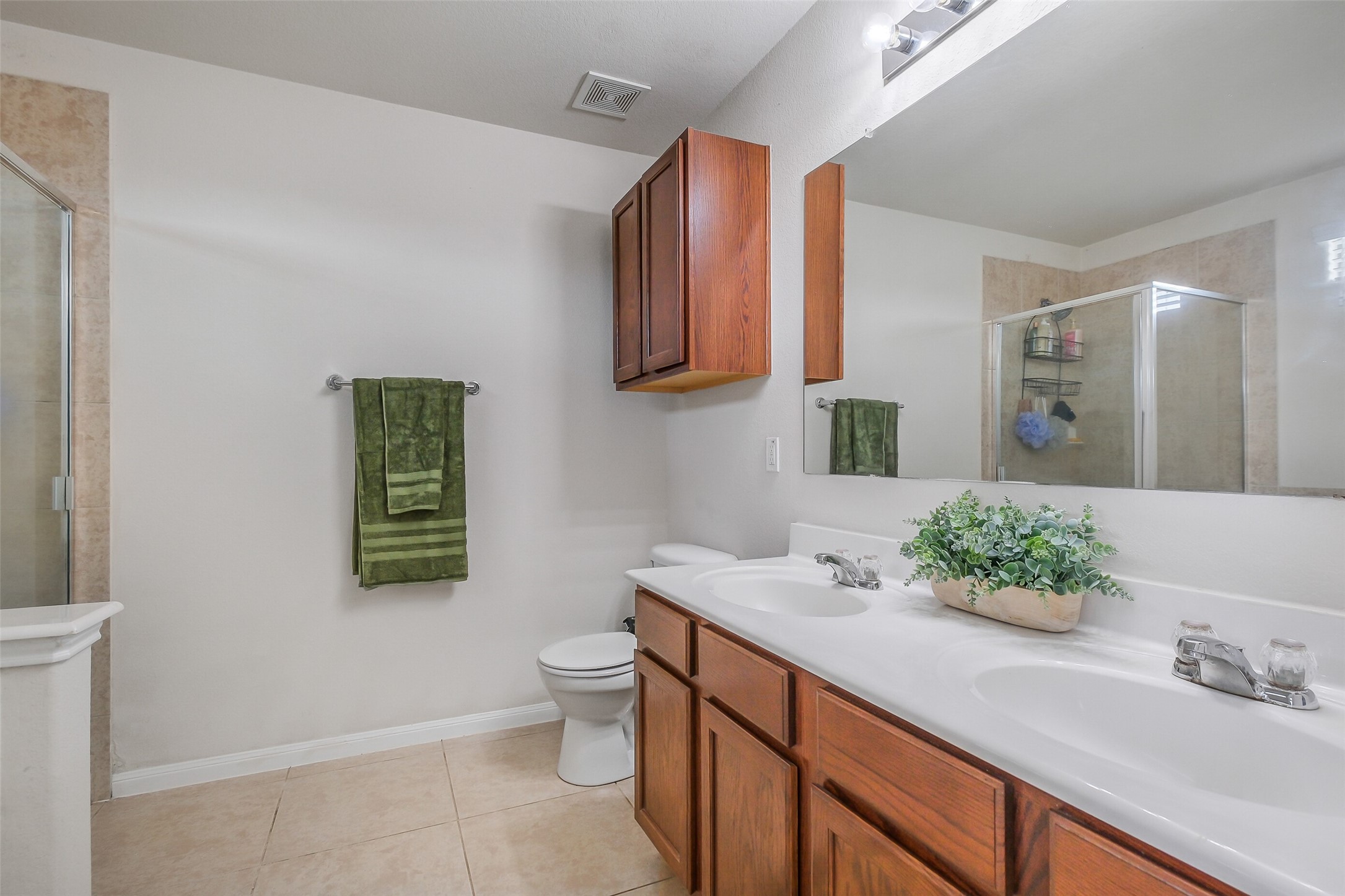 1015 Honeysuckle Vine Drive Rosenberg, TX 77469 - Photo 19 of 29 a bathroom with a sink and a mirror