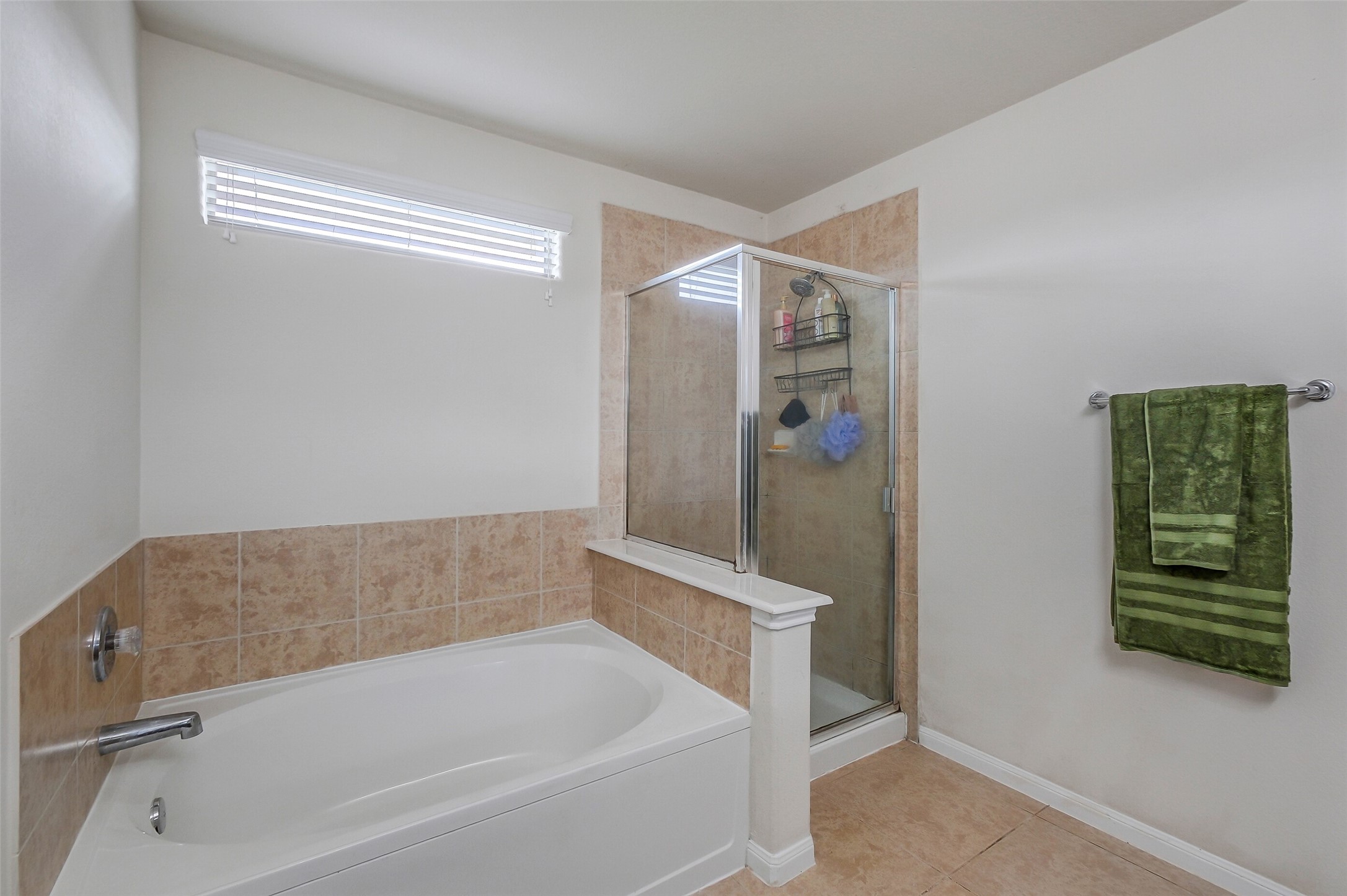 1015 Honeysuckle Vine Drive Rosenberg, TX 77469 - Photo 20 of 29 a bathroom with bathtub and shower