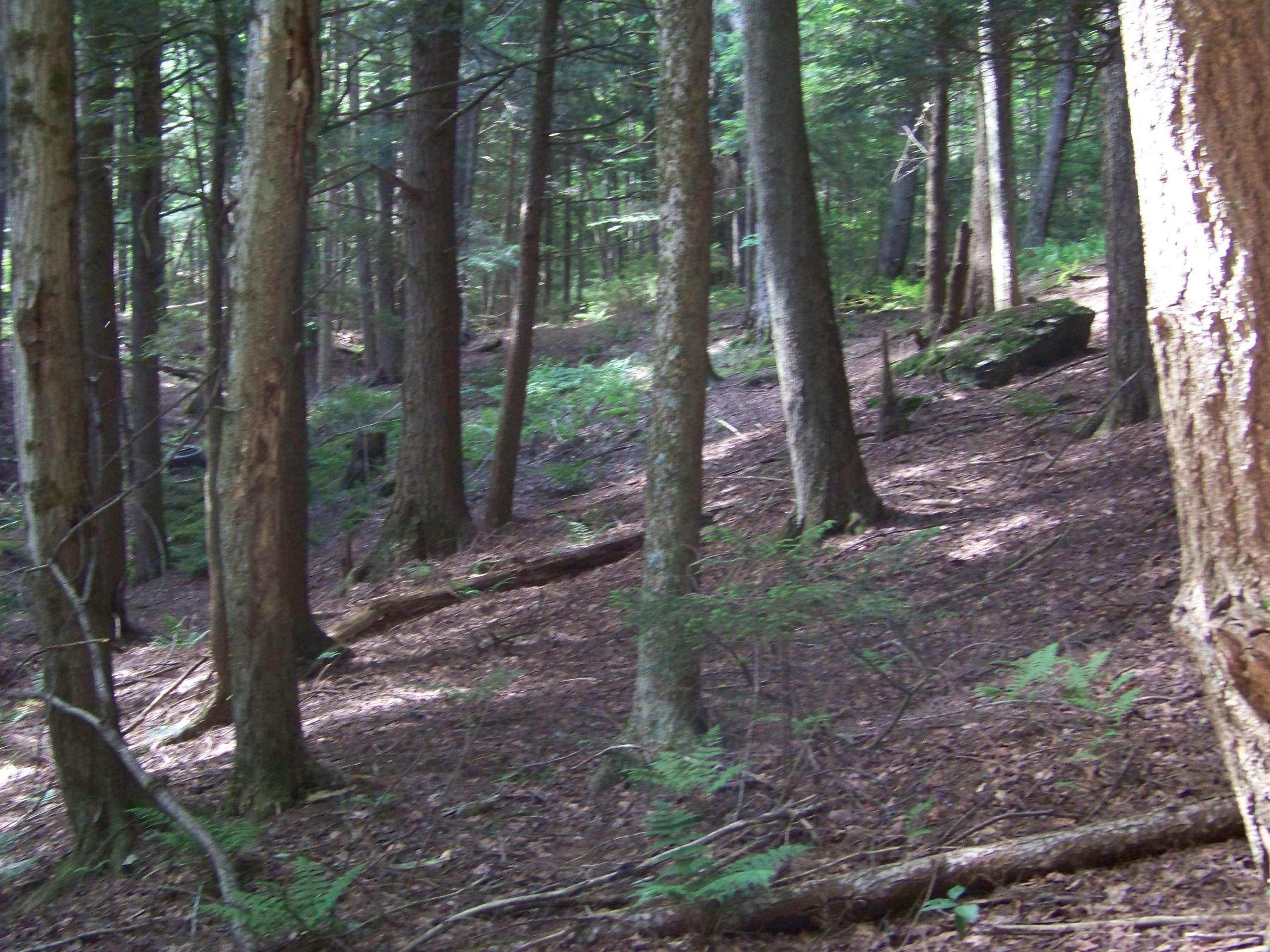 981 Quarry Hill Road Rochester, VT 05767 - Photo 7 of 12