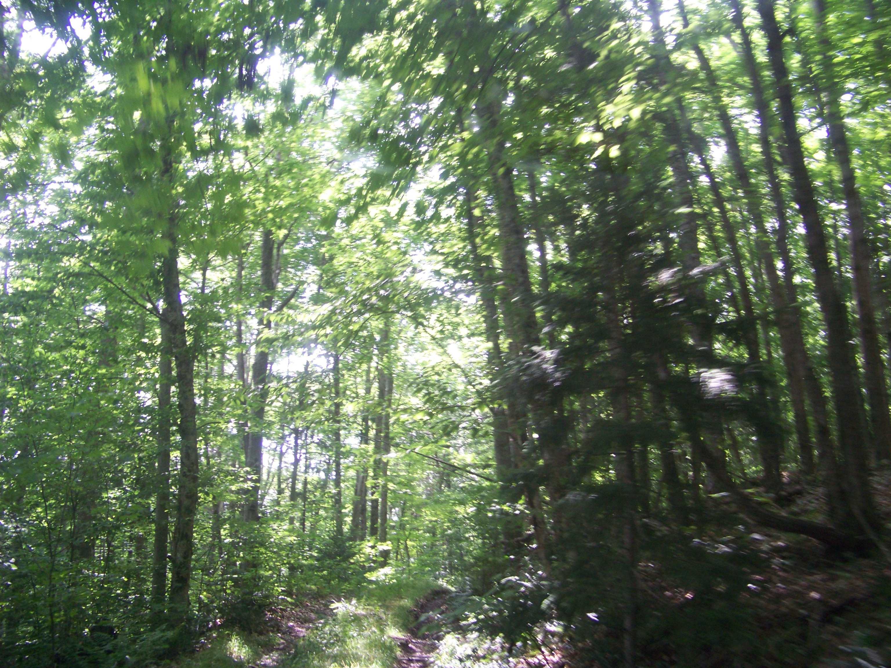 981 Quarry Hill Road Rochester, VT 05767 - Photo 8 of 12