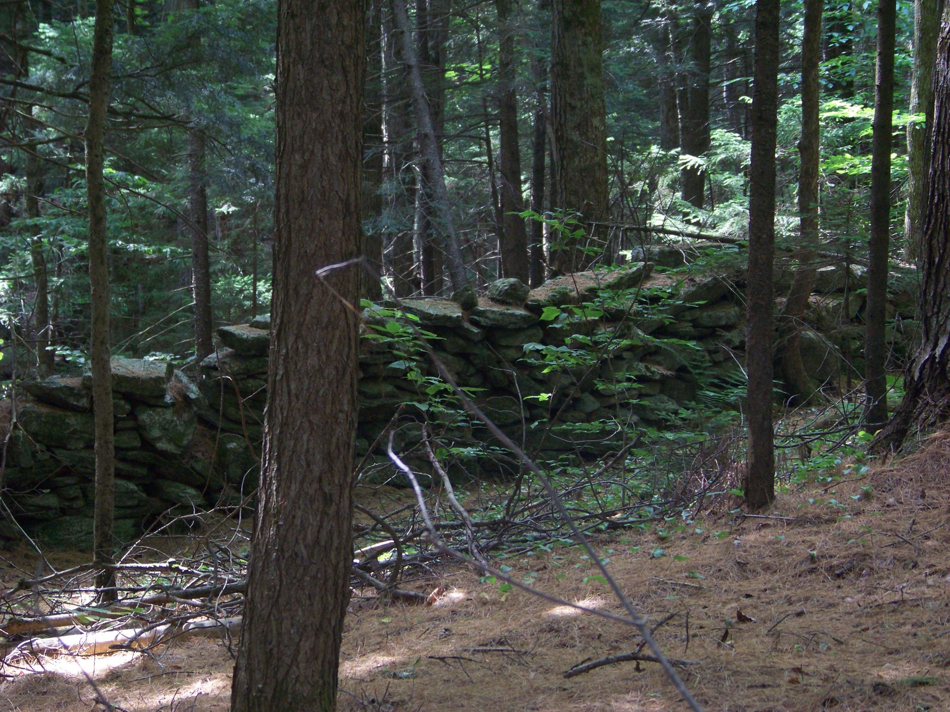 981 Quarry Hill Road Rochester, VT 05767 - Photo 10 of 12