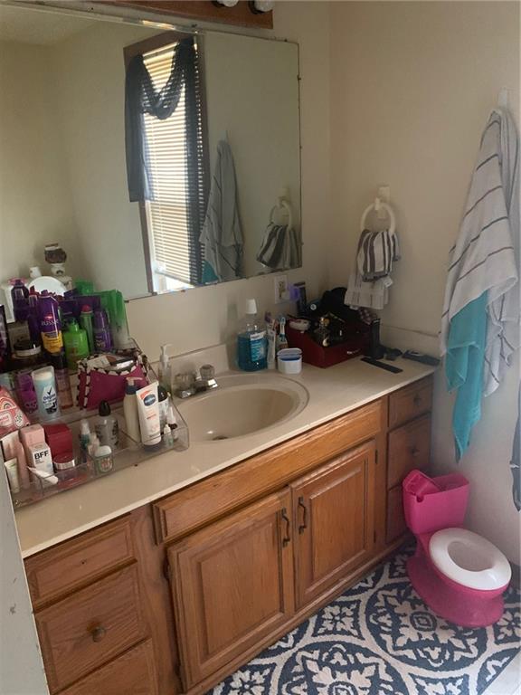 451 Delaware Avenue Rochester, PA 15074 - Photo 17 of 19 a bathroom with a sink and a mirror