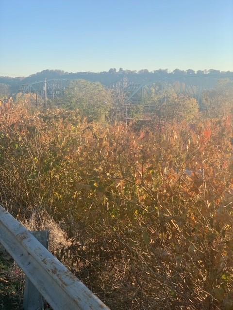 451 Delaware Avenue Rochester, PA 15074 - Photo 6 of 19 a view of mountain view with mountains