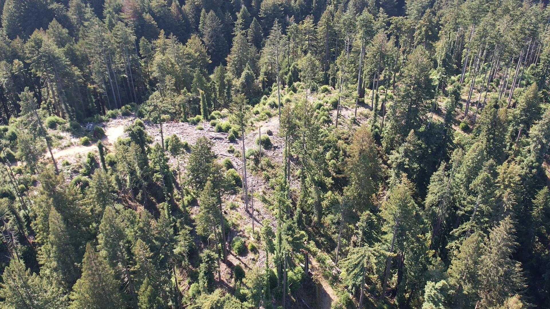 1222 Freshwater Road Freshwater, CA 95503 - Photo 79 of 81 web_Screenshot (12)