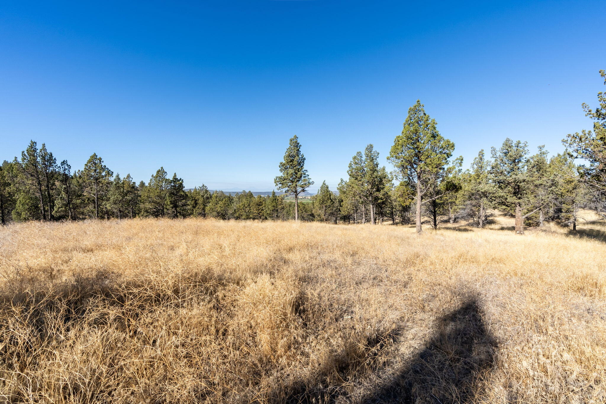 5598 North Mckay Road Prineville, OR 97754 - Photo 60 of 81 IMG_5814