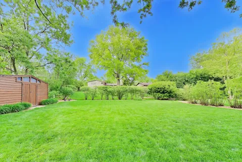 a backyard of a house with plants and large trees