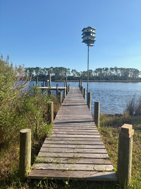 425 River Road Carrabelle, FL 32322 - Photo 10 of 35