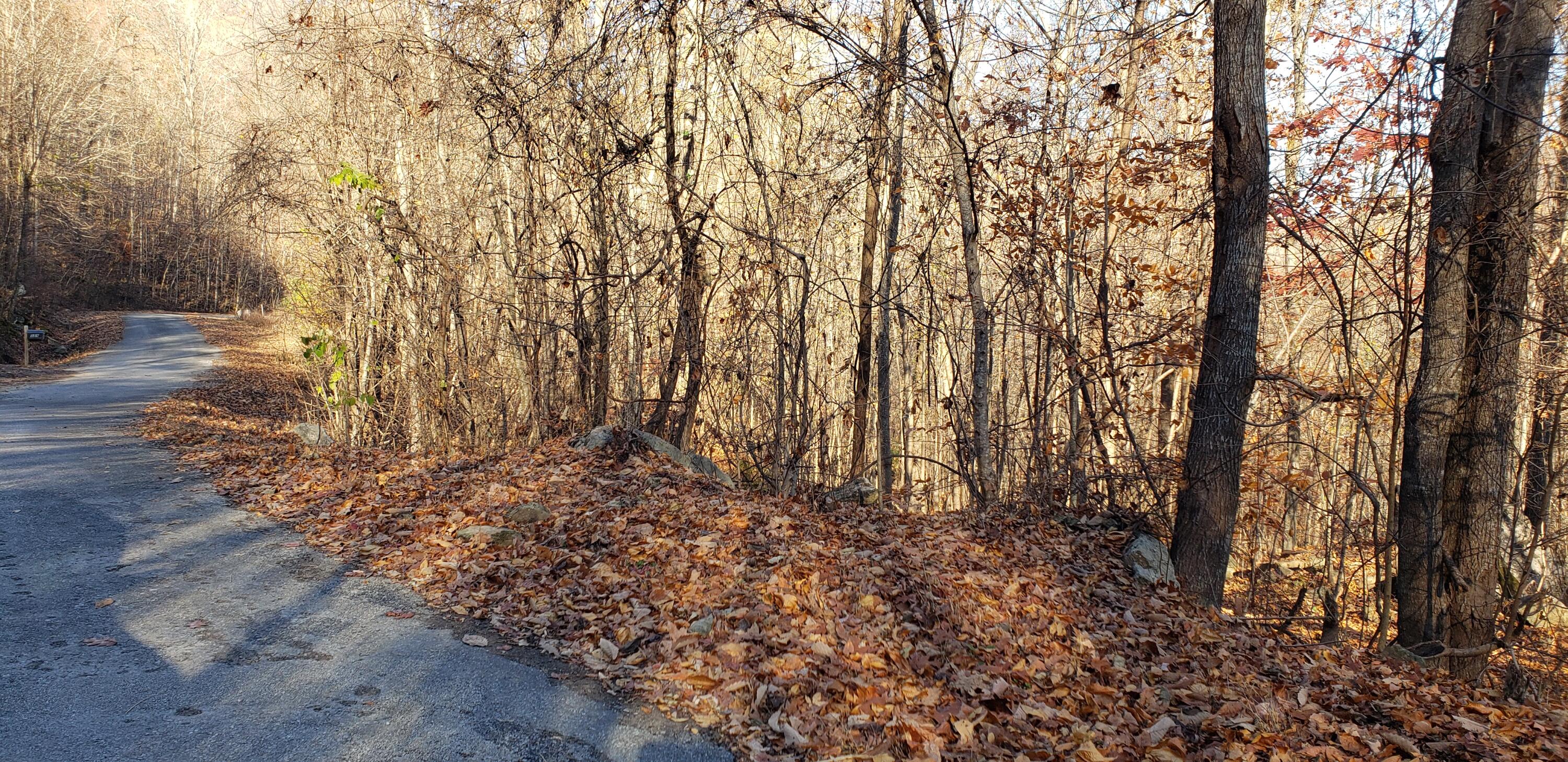Lot 3 Savage Point Road Dunlap, TN 37327 - Photo 2 of 6 2