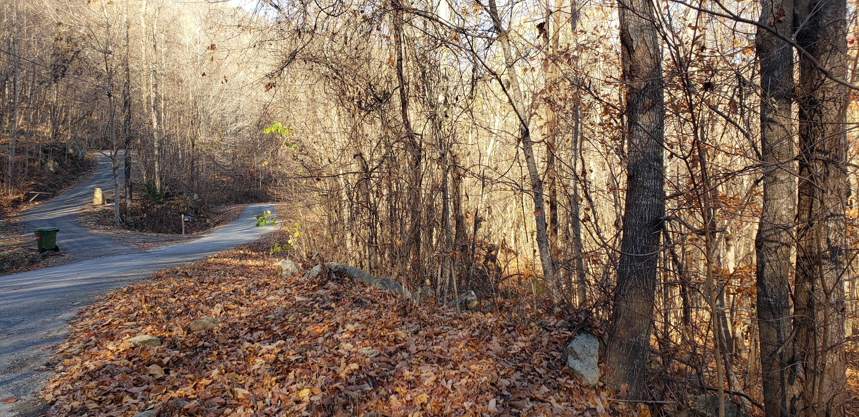 Lot 3 Savage Point Road Dunlap, TN 37327 - Photo 4 of 6 4