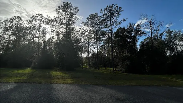 a backyard of a house with lots of green space