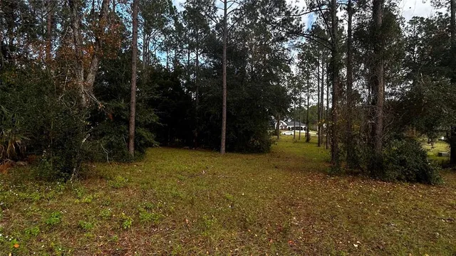a view of outdoor space and yard
