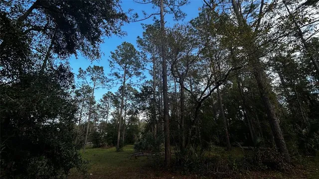 a view of outdoor space and yard