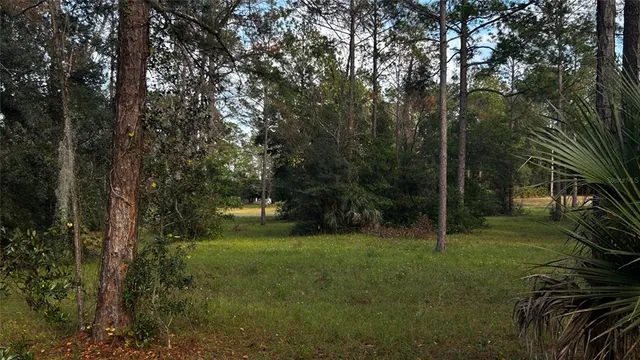 a view of an outdoor space and yard