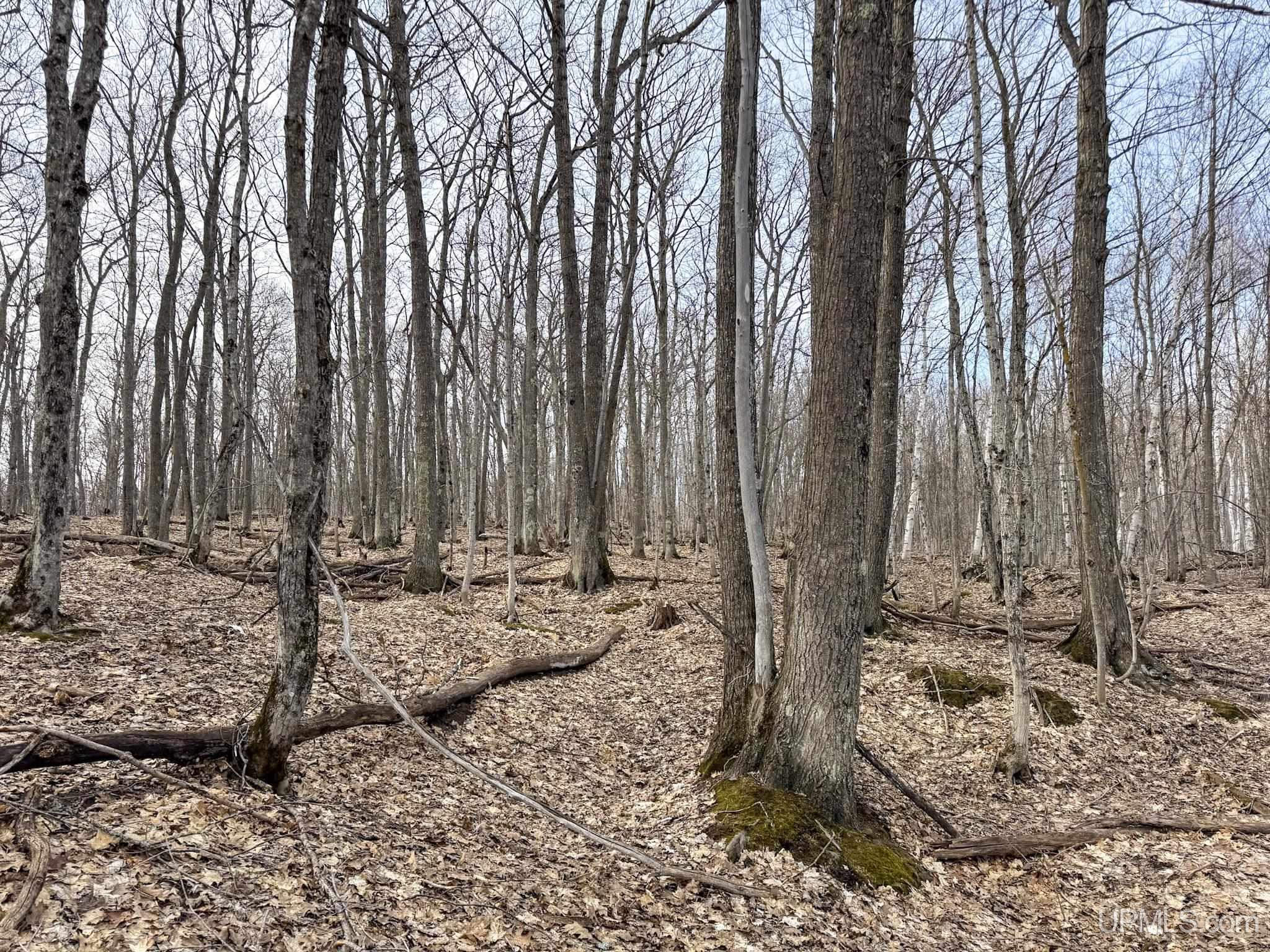 Tbd Lot C Mohawk Gay Road Mohawk, MI 49950 - Photo 5 of 14
