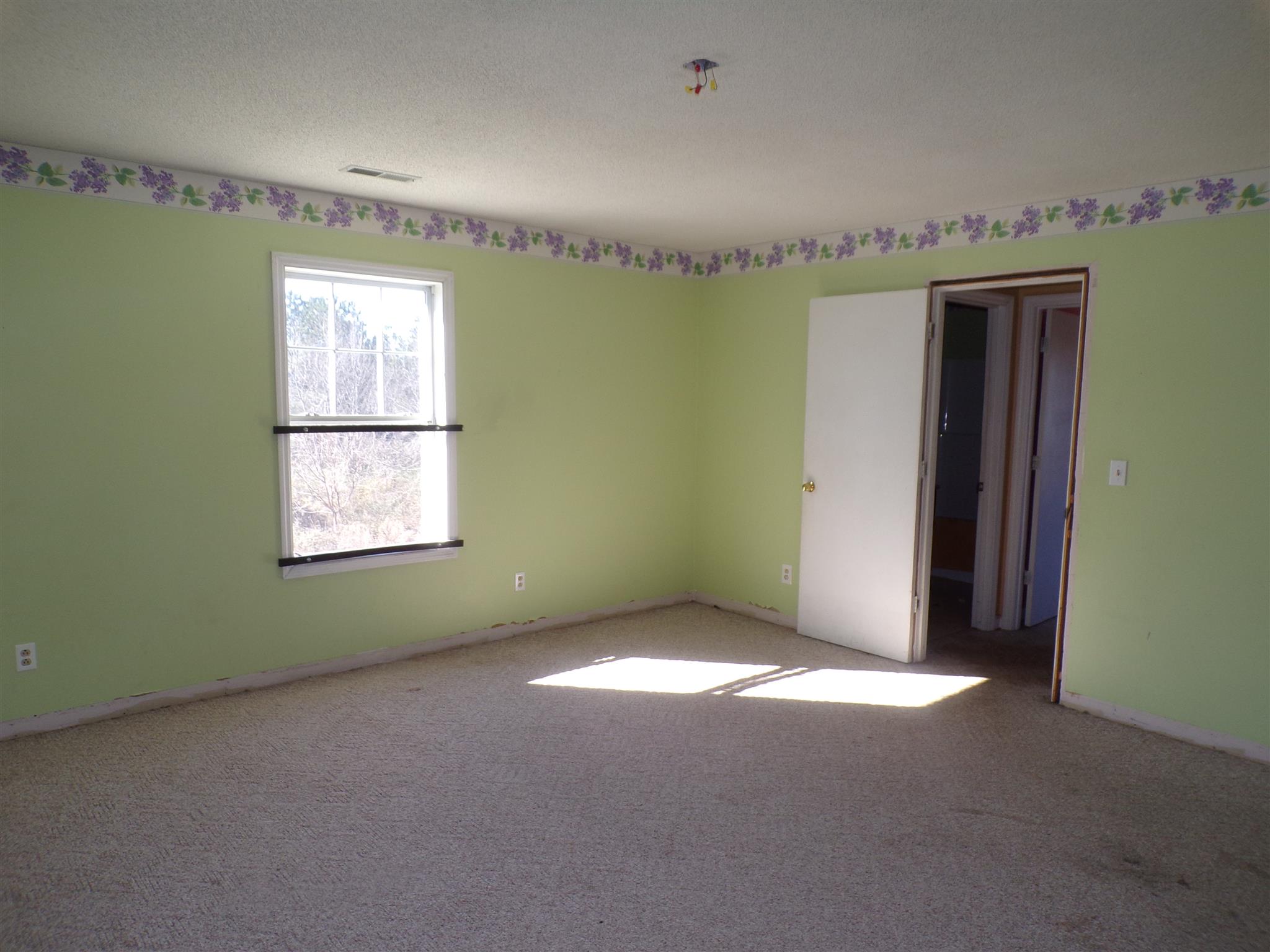 2117 Fall River Road Leoma, TN 38468 - Photo 14 of 24 Bedroom 3